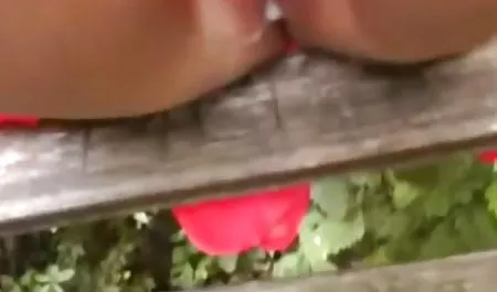 Rekonsiliasi Agustus Ames dan Nicole Aniston dicapai melalui xxxx indo smp hubungan seks dengan Jesse