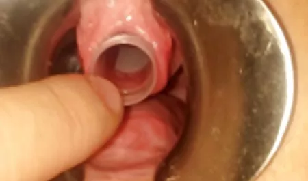 Hitam basah Ebony Kiki sexx indo tante Star bercinta di depan kamera