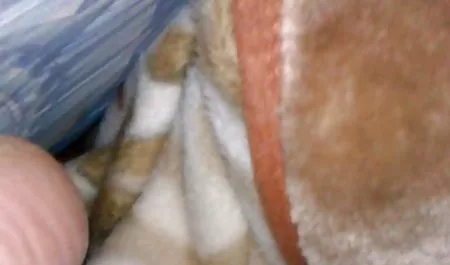 Rombongan siswa menempati apartemen porn seks indo