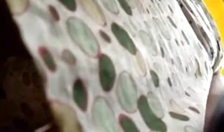 Suaminya merobek vidio bokep indo xxxx istri dan gundiknya