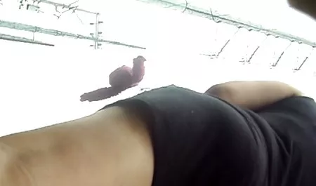Pirang siap bercinta di mana saja porn indo mp4